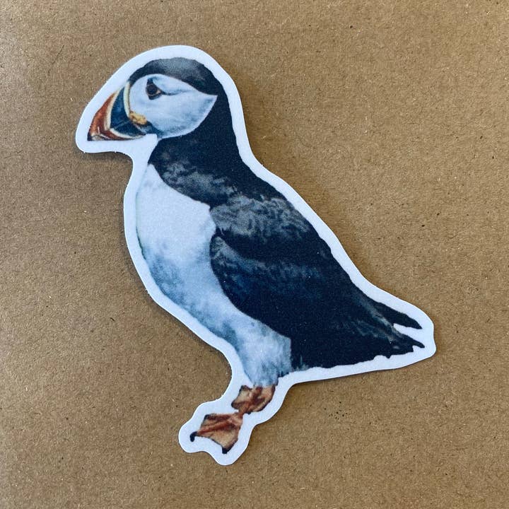 Ecofriendly sticker: Atlantic puffin for wholesale by Sarah Drummond Art