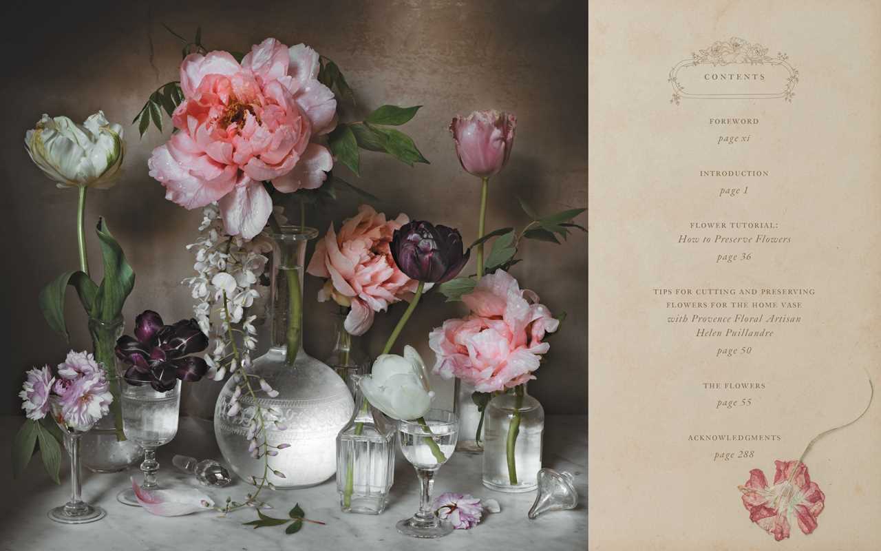 Simon & Schuster - Wholesale Nature & Outdoors - Flowers of Provence by Jamie Beck7