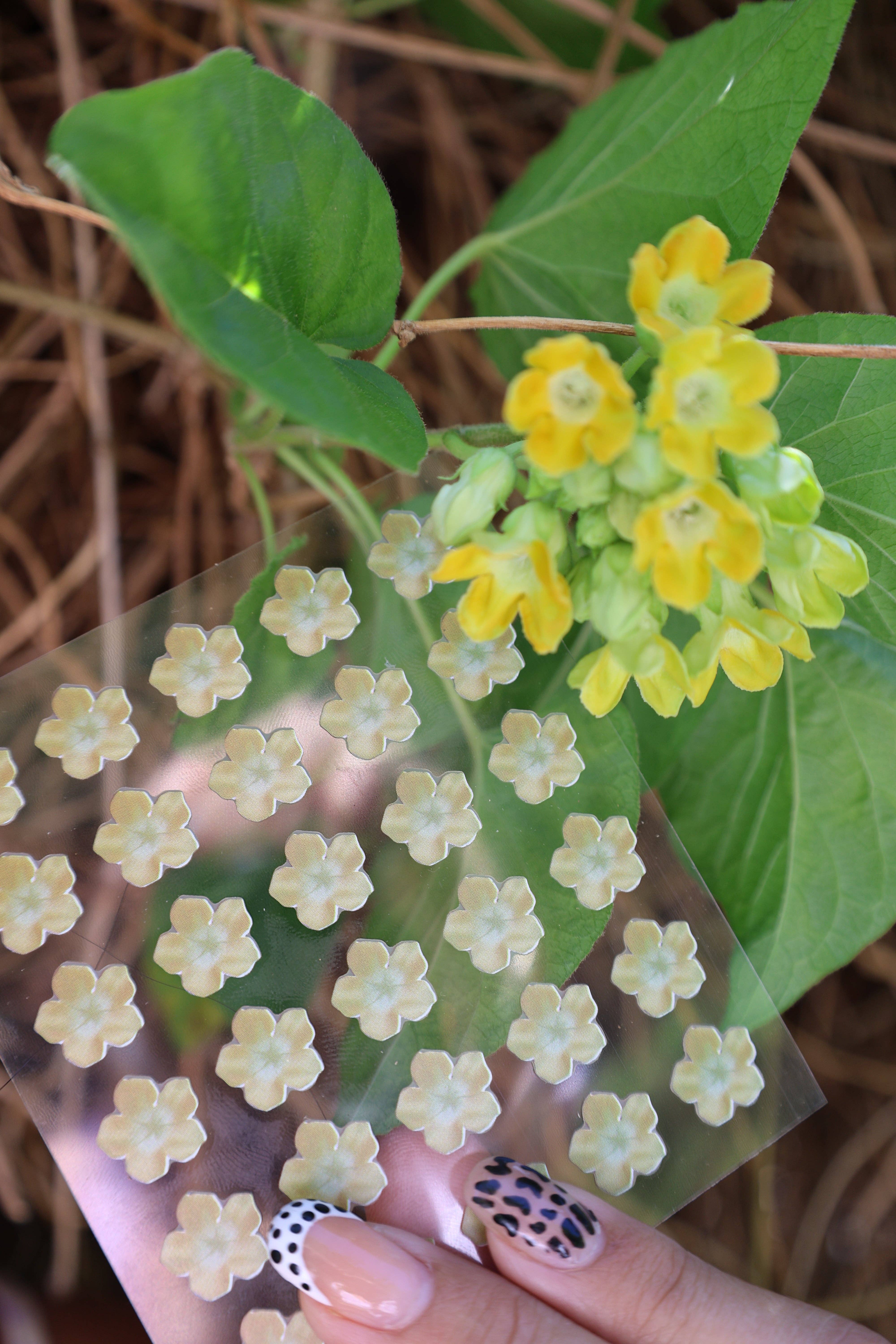 Ao Organics Hawaii – Engroshandel Acne-/hydrokolloidplaster – Pakalana Bumseplastre3