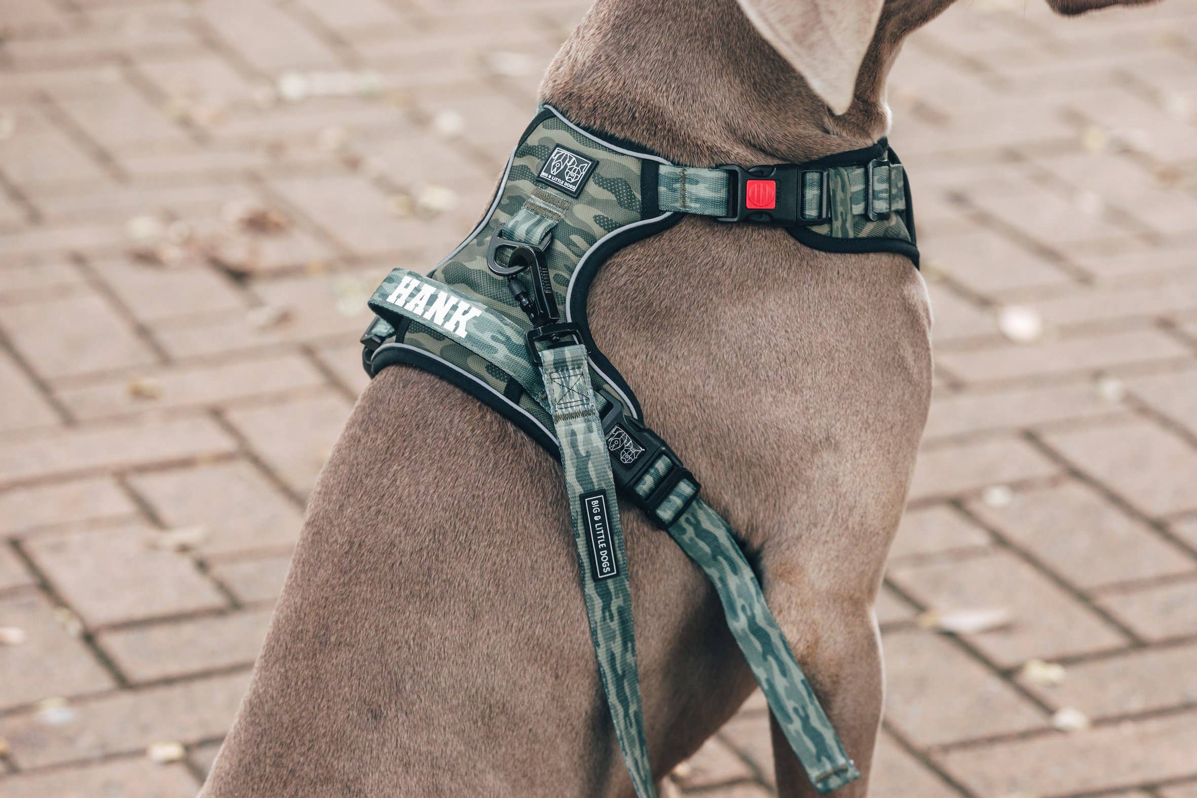 Big and Little Dogs – Engroshandel Kæledyrssele – Hund – Big and Little Dogs camoufleret allround sele til hunde7