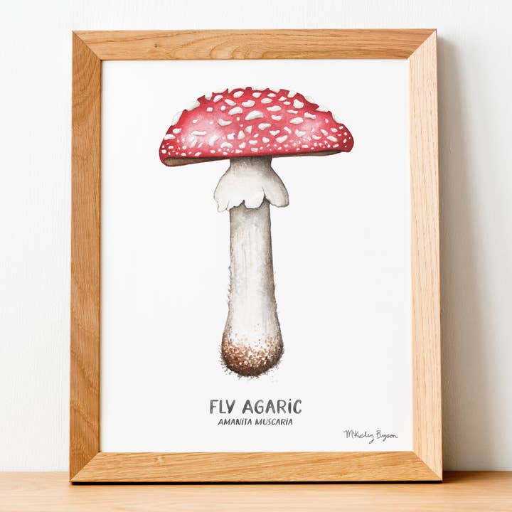 Fungo di agarico mosca | Stampa ad acquerello per la vendita all'ingrosso da parte di Lucky Bat Paper Co.