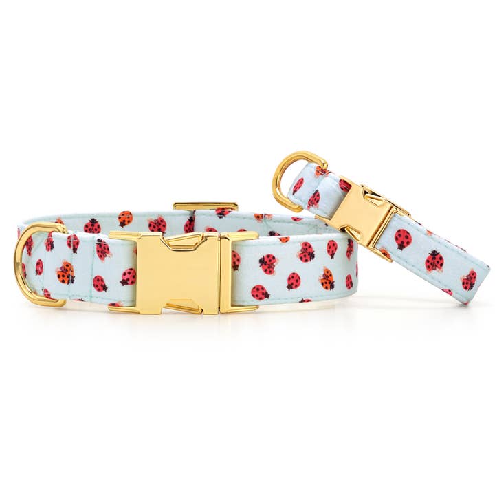 The Foggy Dog - Wholesale Pet Collar - Dog - Love Bug Spring Dog Collar