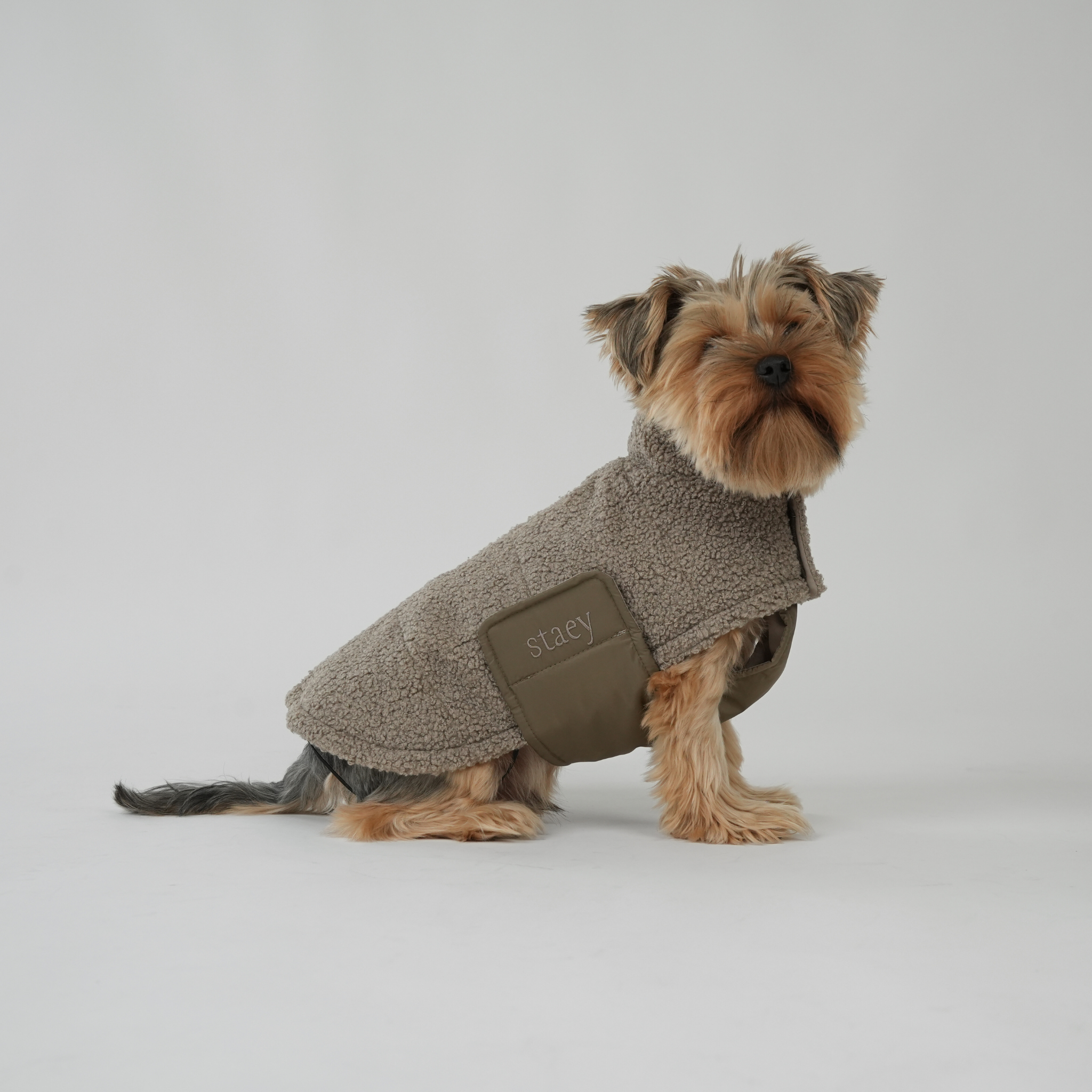 Staey – wholesale Hundjacka - Hund – Hundjacka Teddy | Taupe1