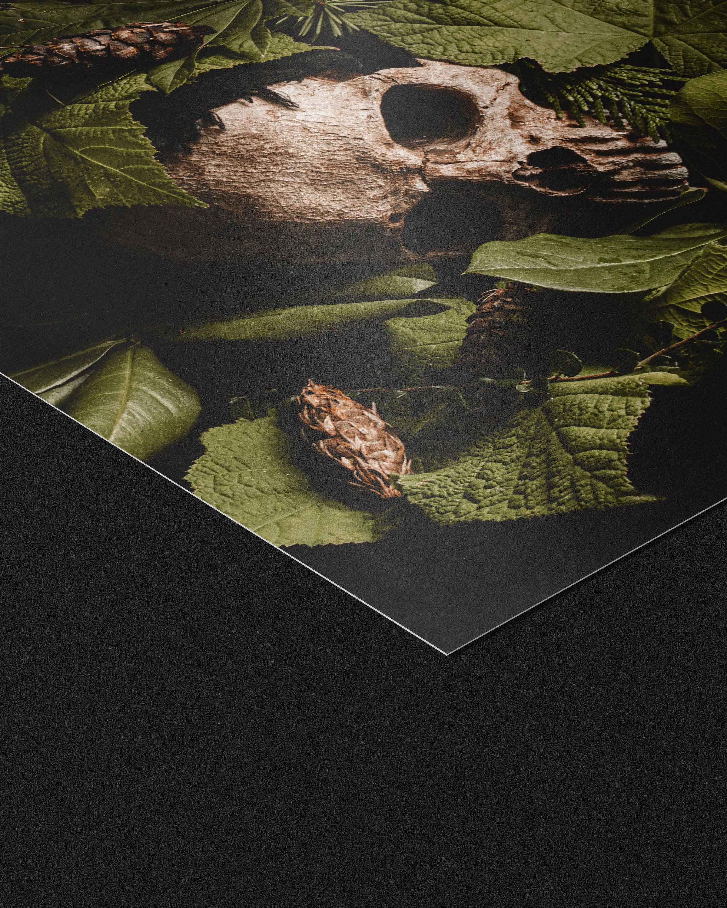 Alyssa Thorne - Wholesale Art Print - Verdant Repose | Dark Forest Vanitas Still Life1