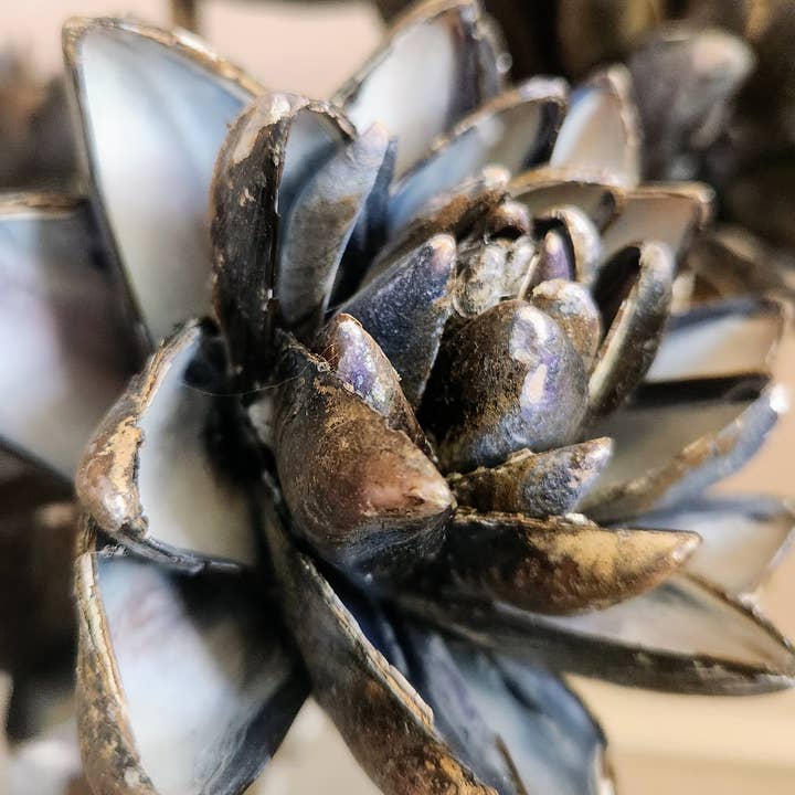 White Tulip Boutique - Vente Fleurs artificielles - Fleurs éternelles en coquilles de moules faites à la main, ensemble de 3