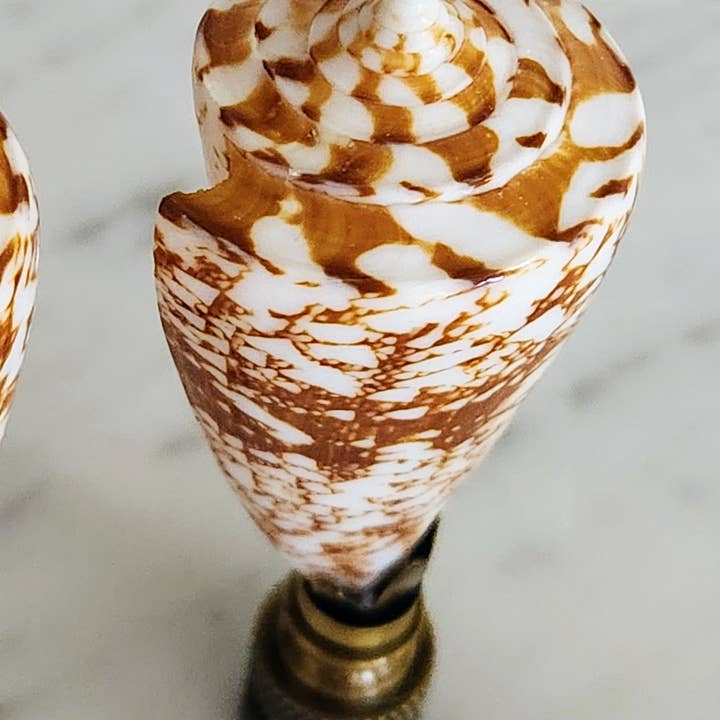 White Tulip Boutique - Wholesale Decorative Tabletop Object - Pair, Brown and White Sea Shell Lamp Finial, Set of 21