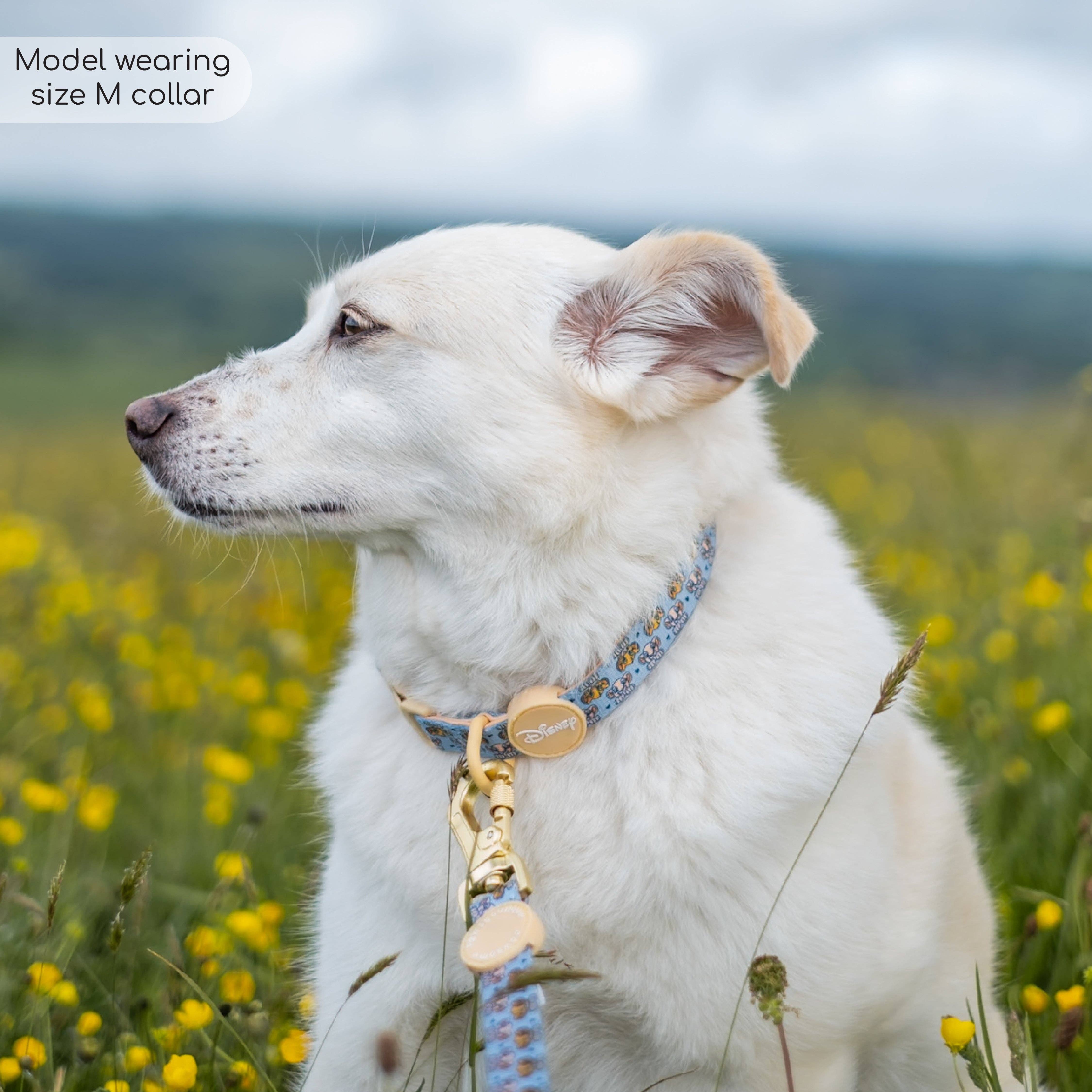 Pawsome Paws - Vendita all'ingrosso Collare - Cani - Collare Disney© - Amici del leone14