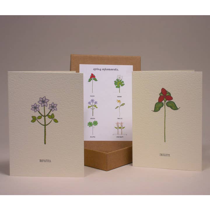 set di cartoncini Spring Ephemerals. per la vendita all'ingrosso da parte di Beth Mueller