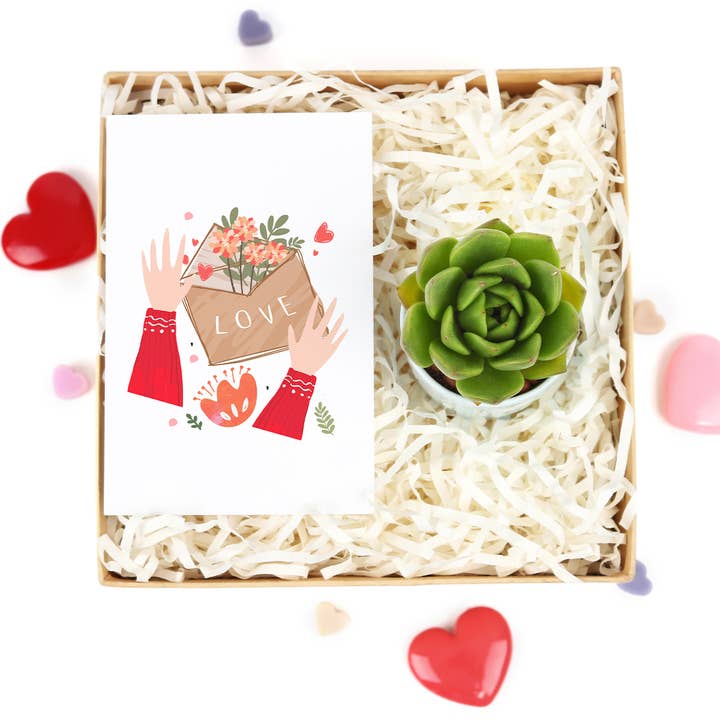 Best Plant Friend - Wholesale Gift Box - Valentine Gift Box - 1 Succulent - Gift Boxes Ideas For Her