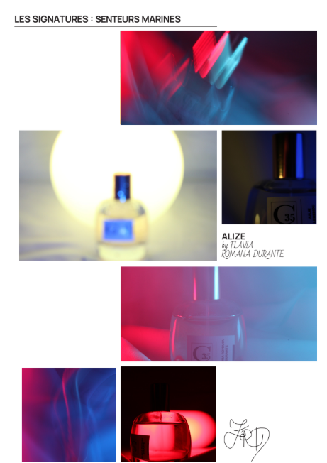 Maison de Parfum Berry - Wholesale Perfume/Eau de Toilette - ALIZE, Unisex Eau de Parfum, 50ml1