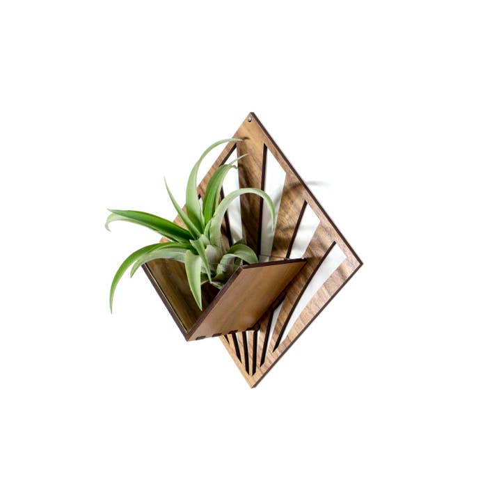 LIGHT RAZOR DESIGN STUDIO - Wholesale Wall planter - Air Plant Holder / Quadrate Wall Hanging Planter 224
