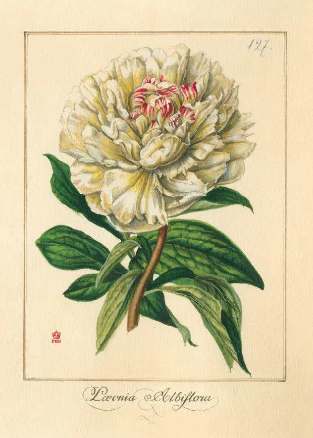 Bomo Art Budapest - Wholesale Everyday Greeting Card - Greeting Card + Envelope44