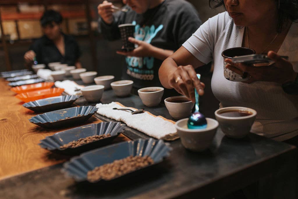 Andytown Coffee Roasters - Wholesale Coffee Beans - Andy's Blend 8oz Retail Bags3