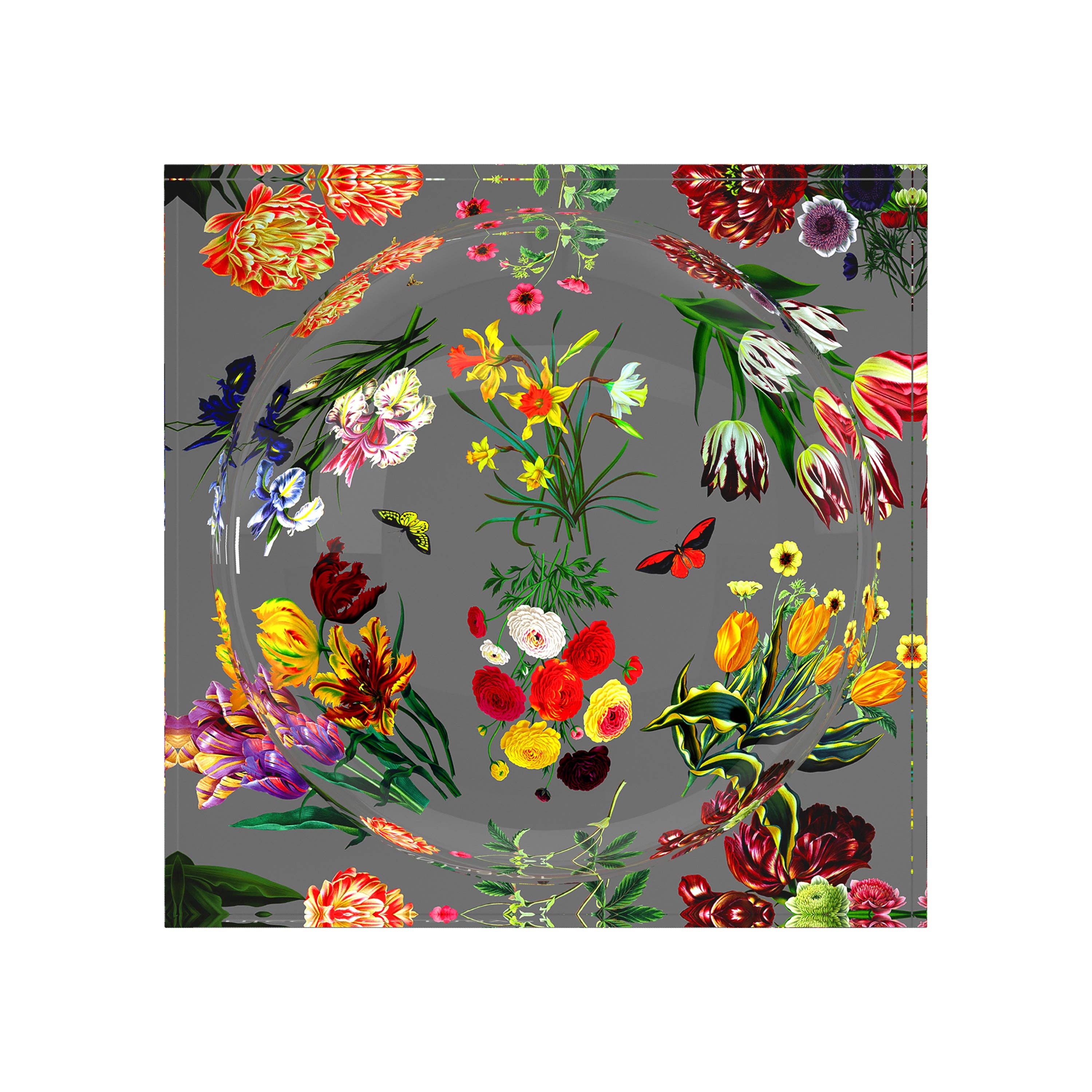 Nicolette Mayer Collection - Vendita all'ingrosso Ciotole/Piatti decorativi - Portaoggetti in Acrilico Grigio Flora Fauna Candy1