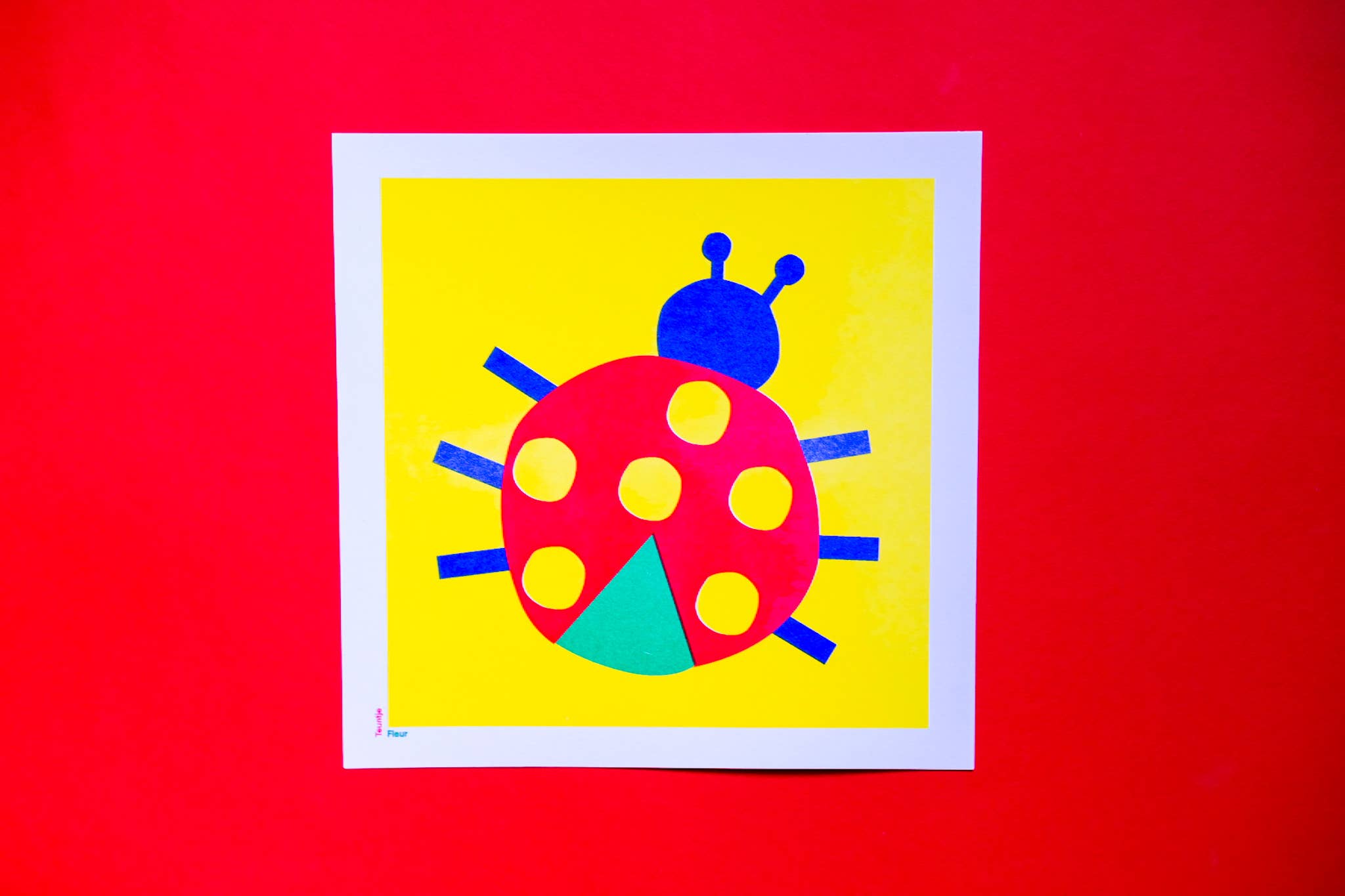 Teuntje Fleur - Wholesale Art Print - Lieveheersbeestje Vierkant print 20x20 cm0