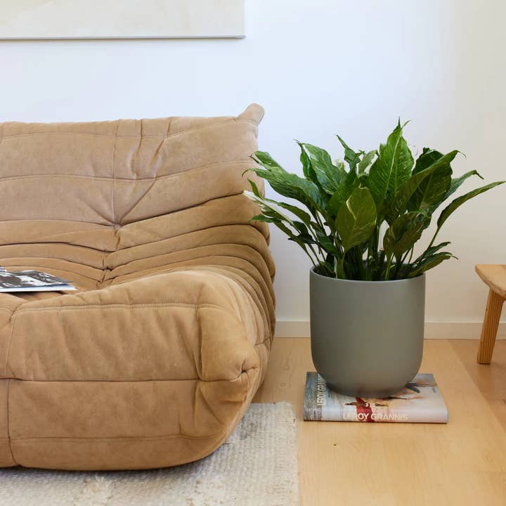 LBE Design – Engroshandel Stativ til plantekrukke – Klokkeplanteren9