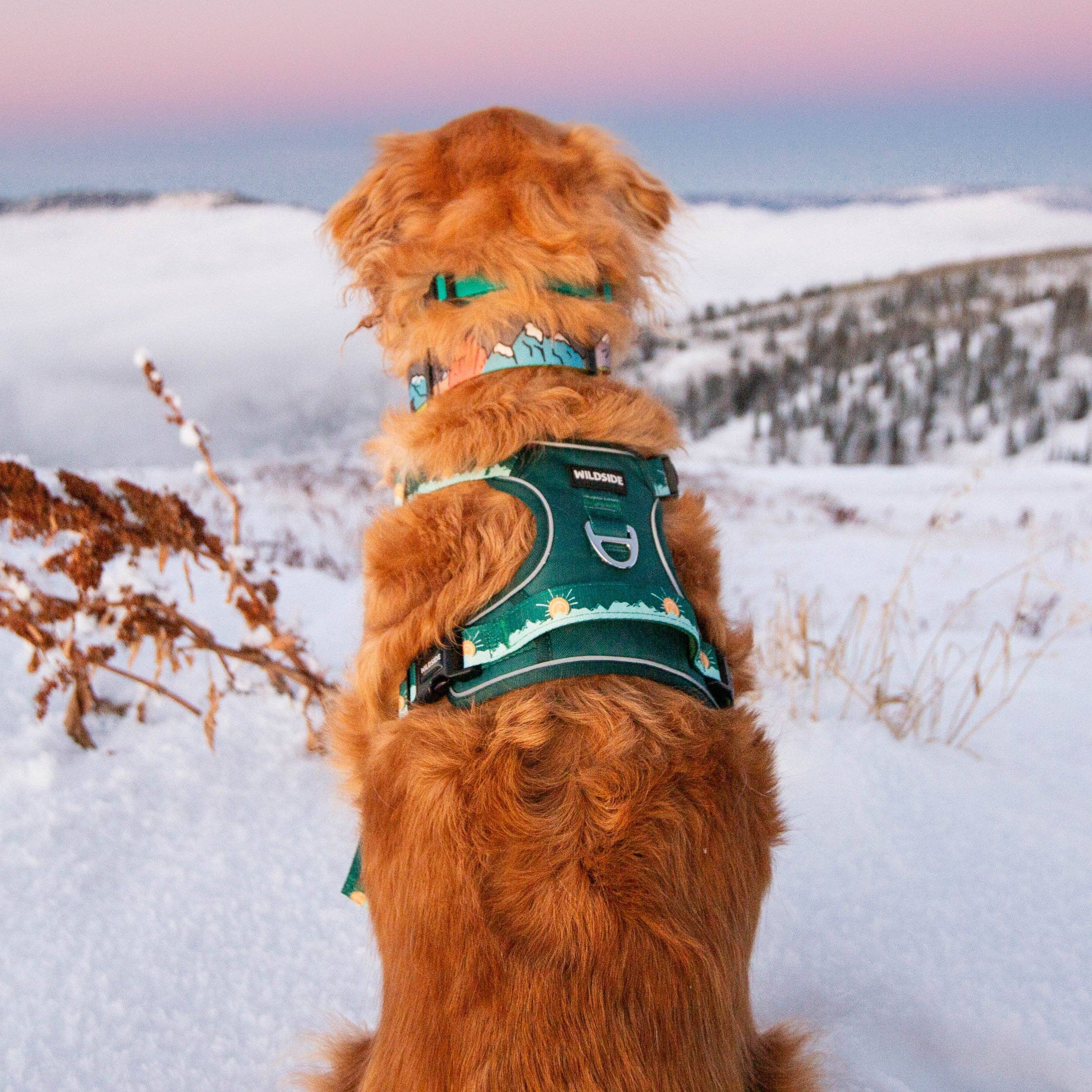 Wildside Dog Gear - Wholesale Pet Harness - Dog - Tahoma Peak Front Clip Dog Harness with Handle 3