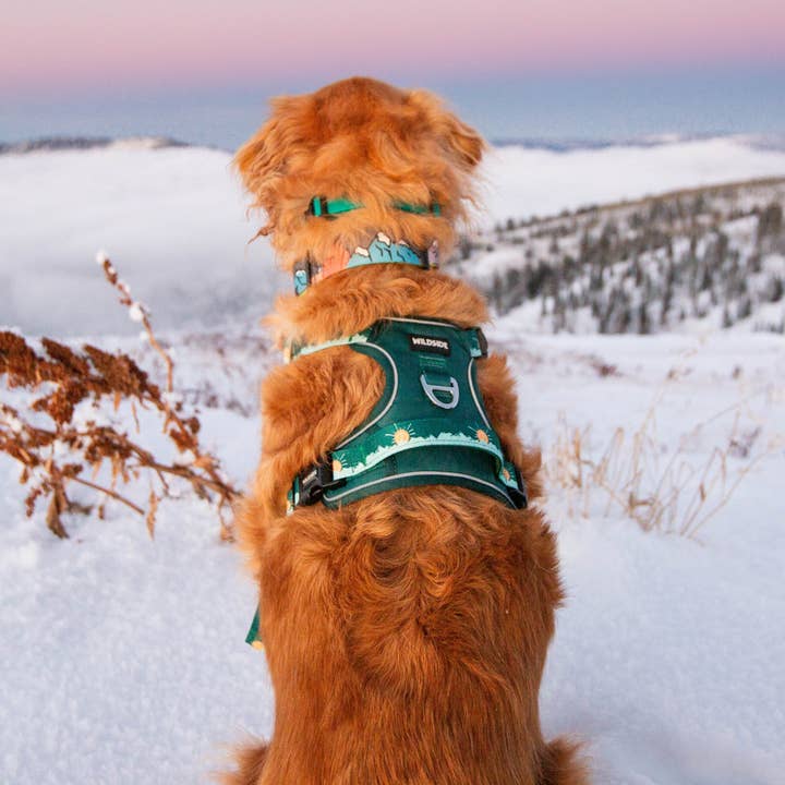 Wildside Dog Gear - Wholesale Pet Harness - Dog - Tahoma Peak Front Clip Dog Harness with Handle 3