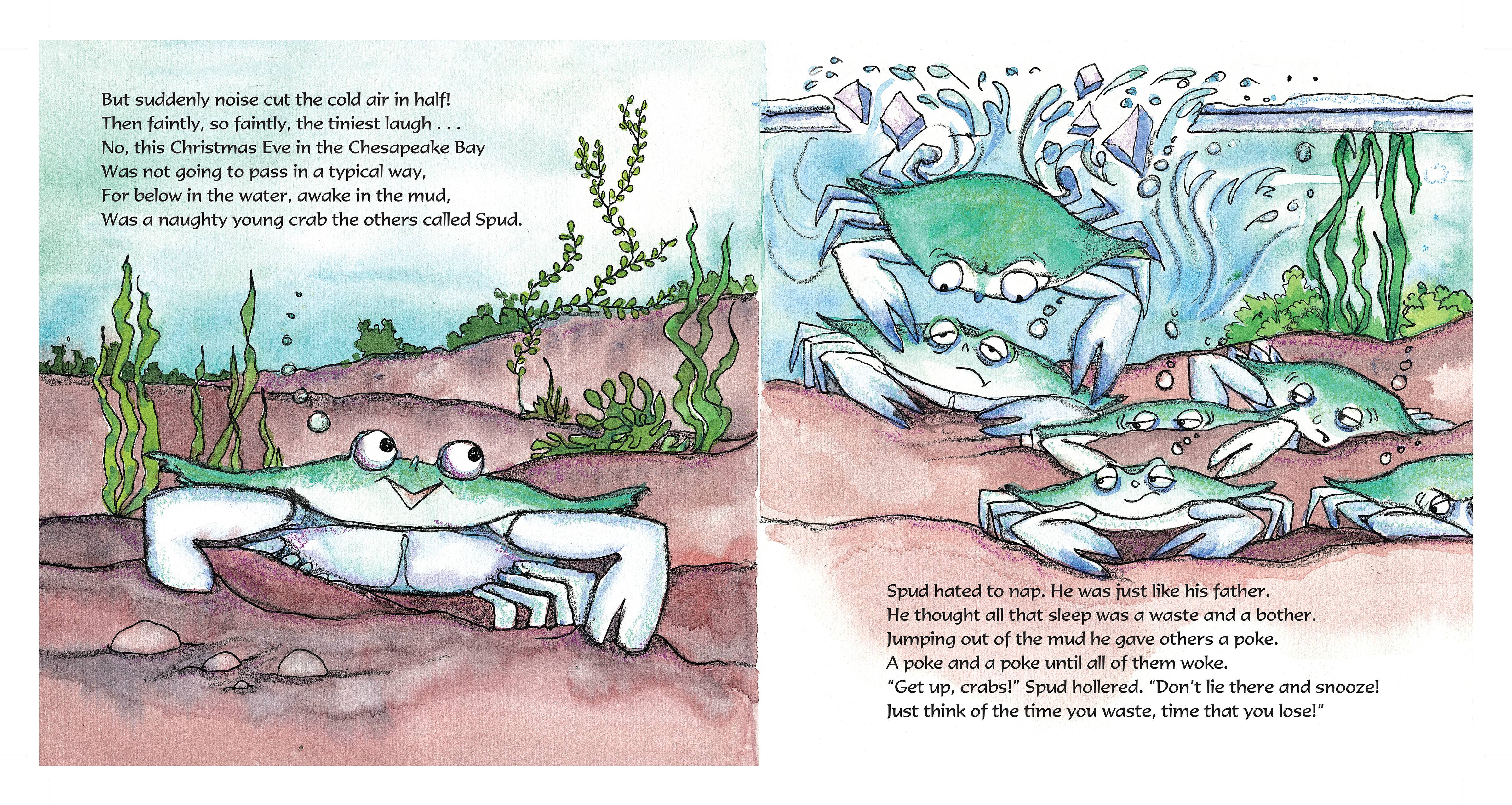 Schiffer Publishing - Wholesale Preschool Book (3-5) - Santa Claws: The Christmas Crab3