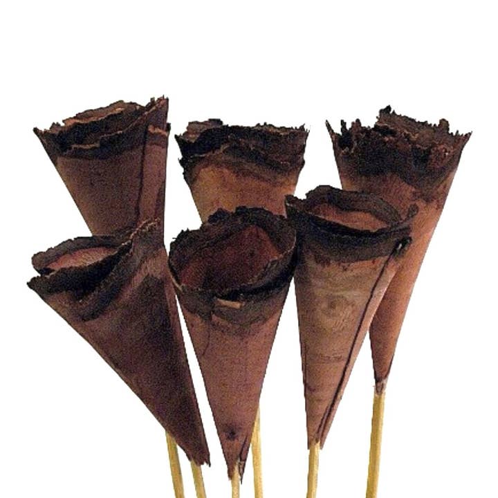 Botanico Ltd. – wholesale Artificial flowers – Wood Cones5