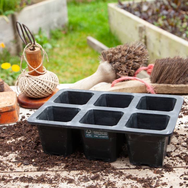 Wildlife World Ltd - Wholesale Plant Pot - 6 Cell XL Natural Rubber Seed Tray