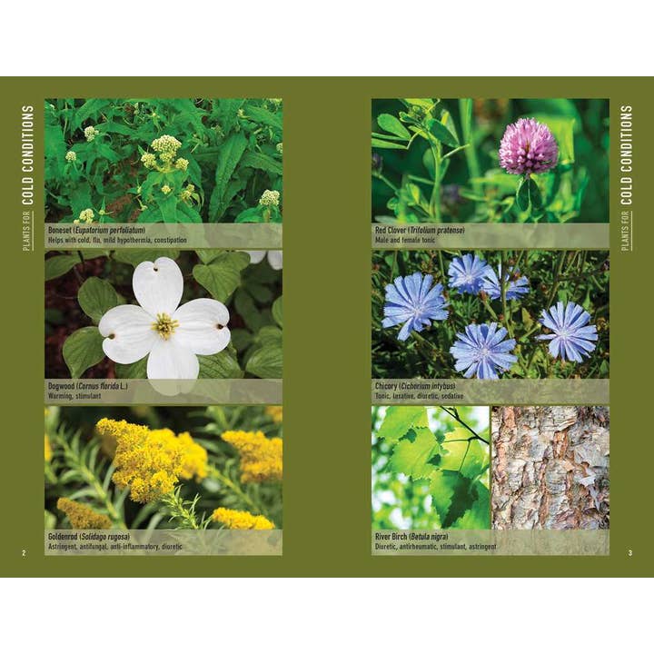 Simon & Schuster - Wholesale Medical Health - Bushcraft First Aid by Dave Canterbury1