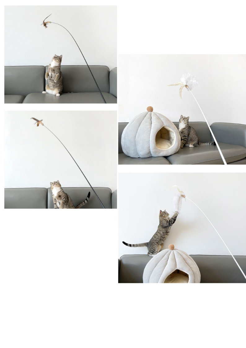 CATWANT – Brinquedo - Gato por atacado – Teaser Extra Longo Substituível - Nova Edição Chilreante13