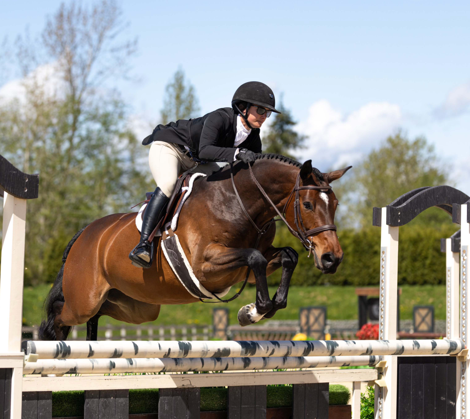 The Blissful Equestrian - Wholesale Horseback Riding Gear - Pro Hunter Girth Liners4