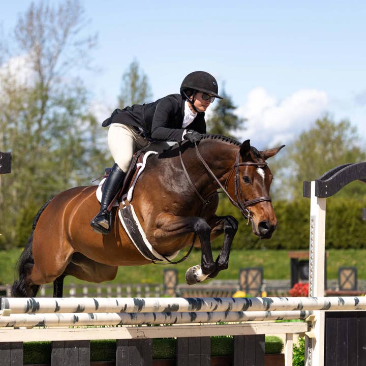 The Blissful Equestrian - Wholesale Horseback Riding Gear - Pro Hunter Girth Liners4