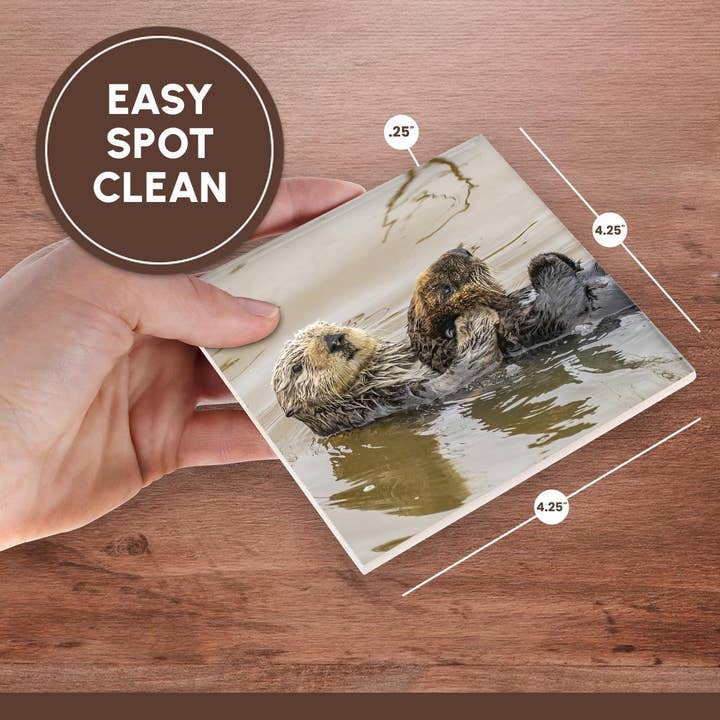 3dRose - Wholesale Coasters - 3dRose, California, Morro Bay. Sea otter mother and pup in water., Coaster6