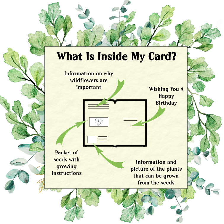 Seeds with Love - Wholesale Birthday Card - Vintage Blooming Birthday Card - A gift of wildflower seeds2