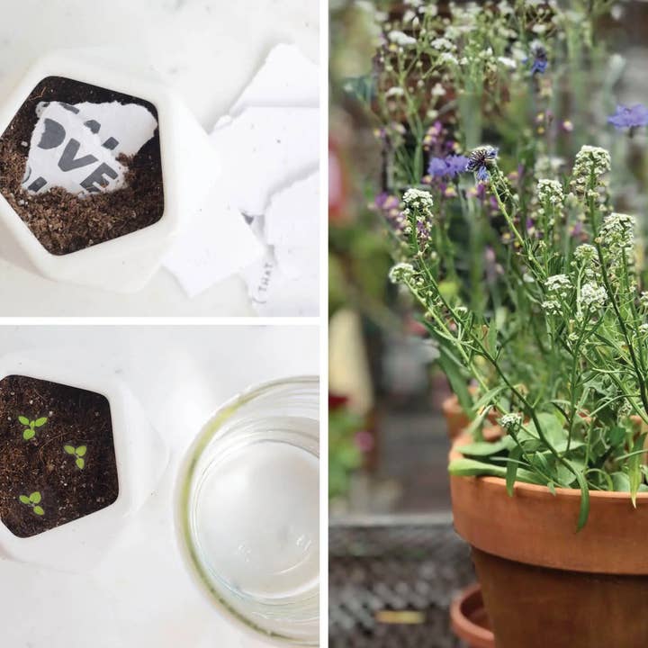 Thoughtful Human - Vendita all'ingrosso Biglietti di auguri - Biglietto di auguri con scritta «Happy Birthday»3