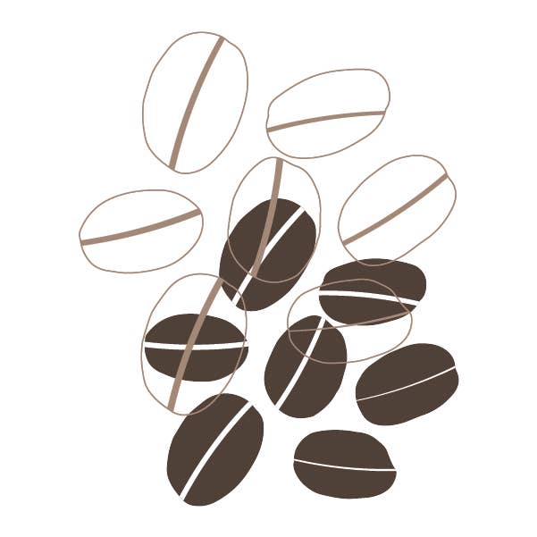 Loon Chocolate - Wholesale Chocolate Bar - Dark Chocolate with Coffee6