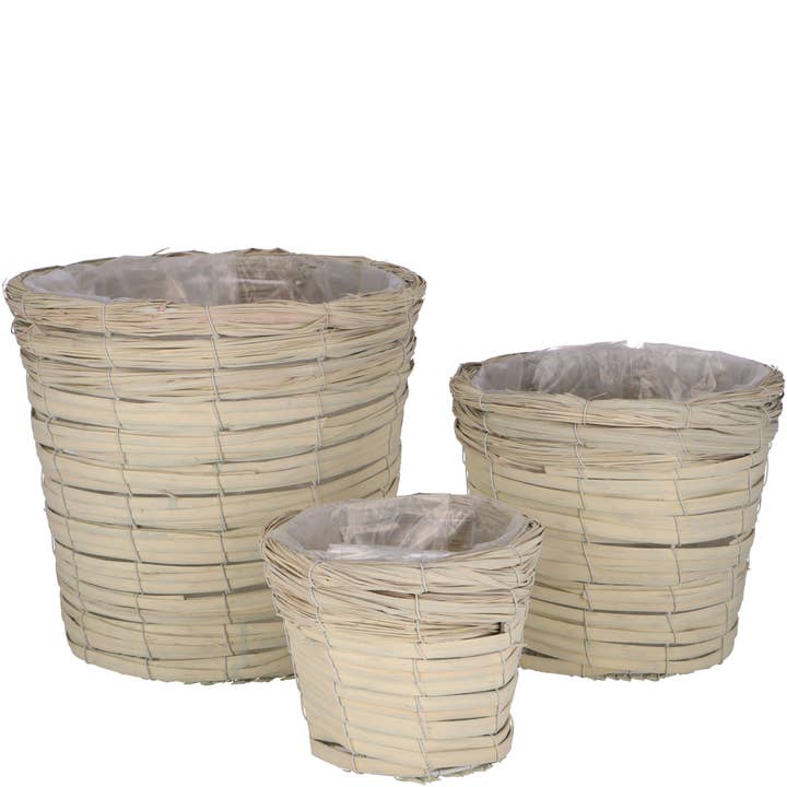 Natur Krukke Nanga, sæt med 3, D29/23/17 cm, Grøn for engroshandel hos Vosteen