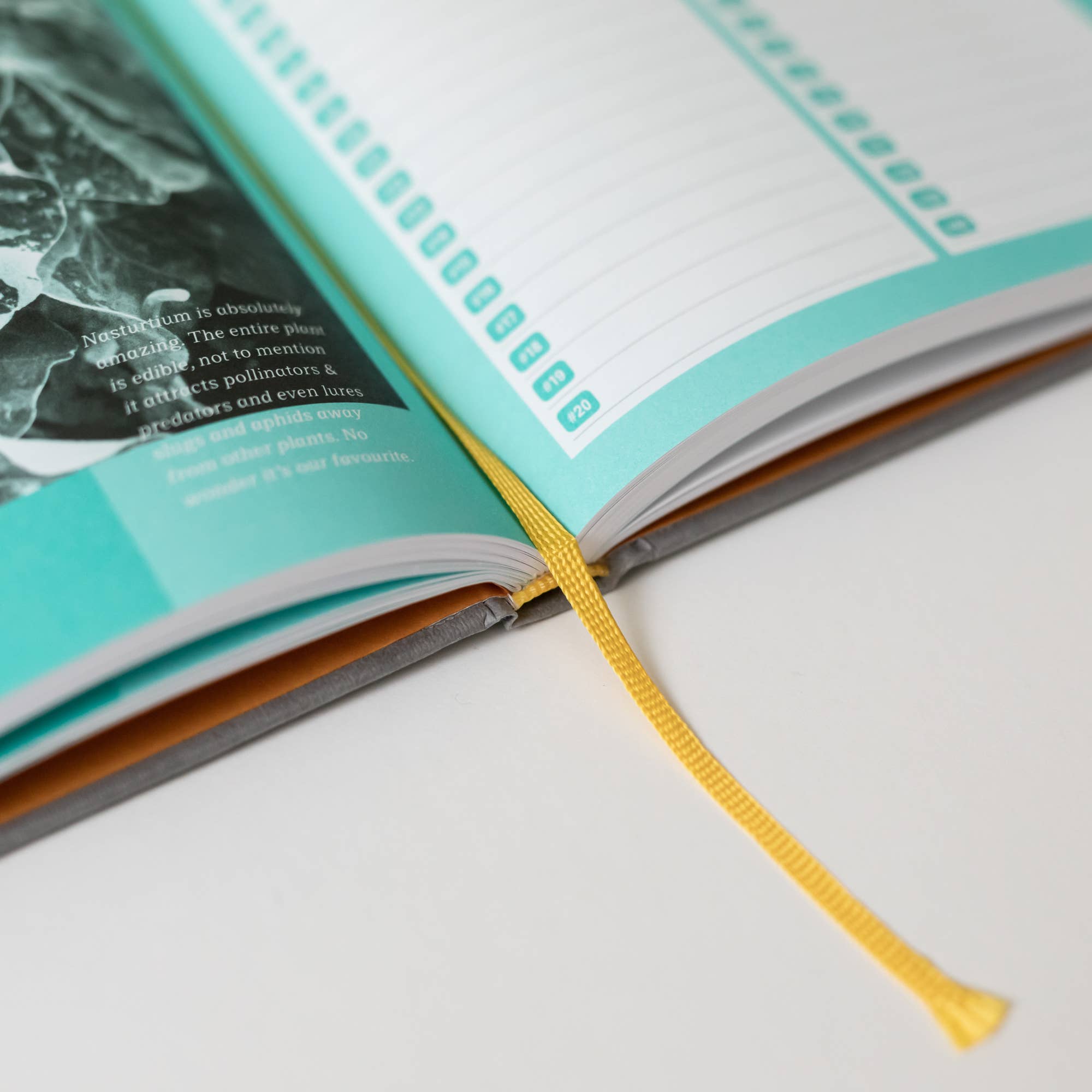 The Green Conspiracy - Wholesale Journal/Diary - A5 Garden Journal - Garden Planner - 100% compostable!9