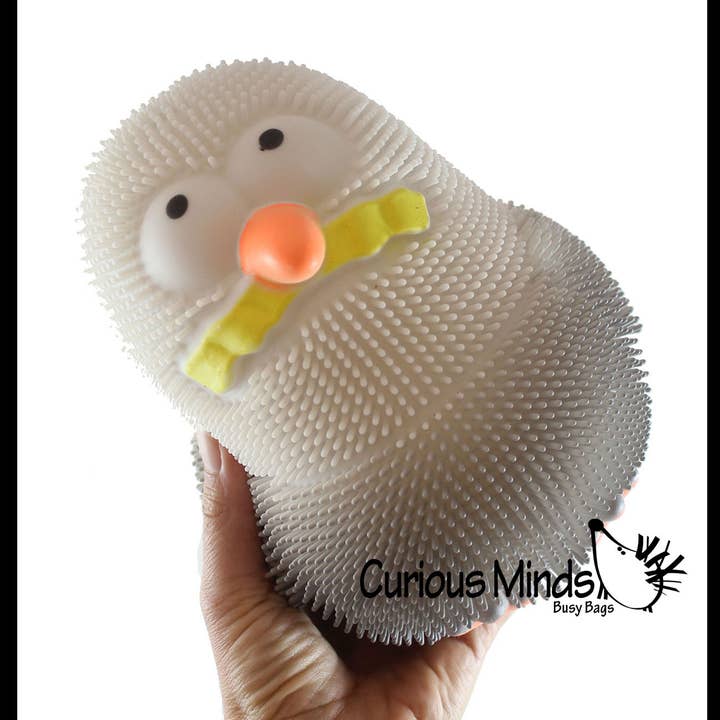 Curious Minds Toys - Wholesale Squishy toy – Kids & Baby - 1 JUMBO Seagull Puffer Air- Filled Squeeze Gull Pigeon