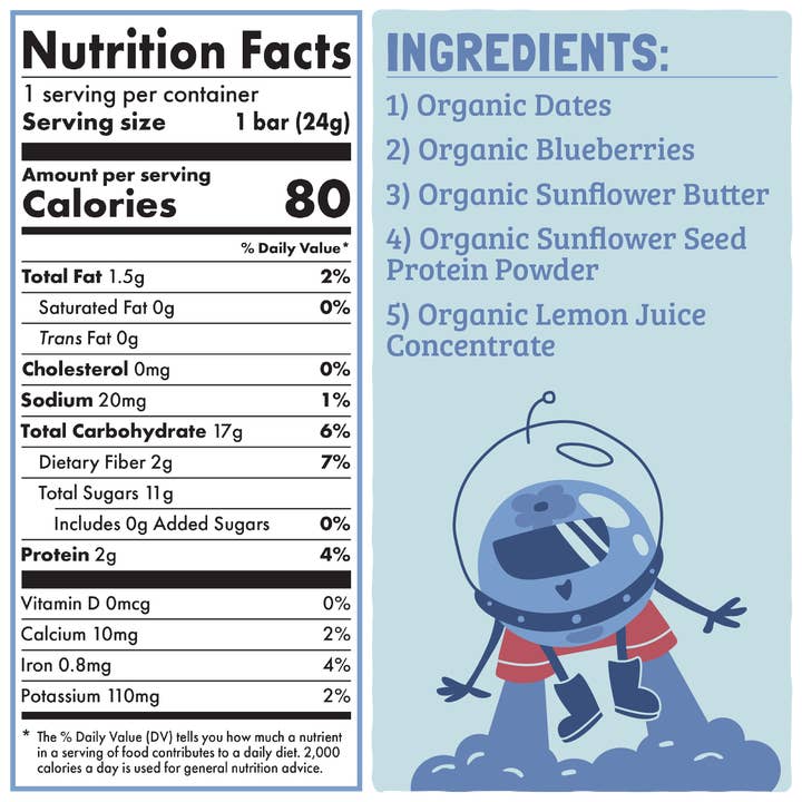 Skout Organic – wholesale Snack bar – Skout Organic Blueberry Blast Kids Snack Bar | Nut-Free