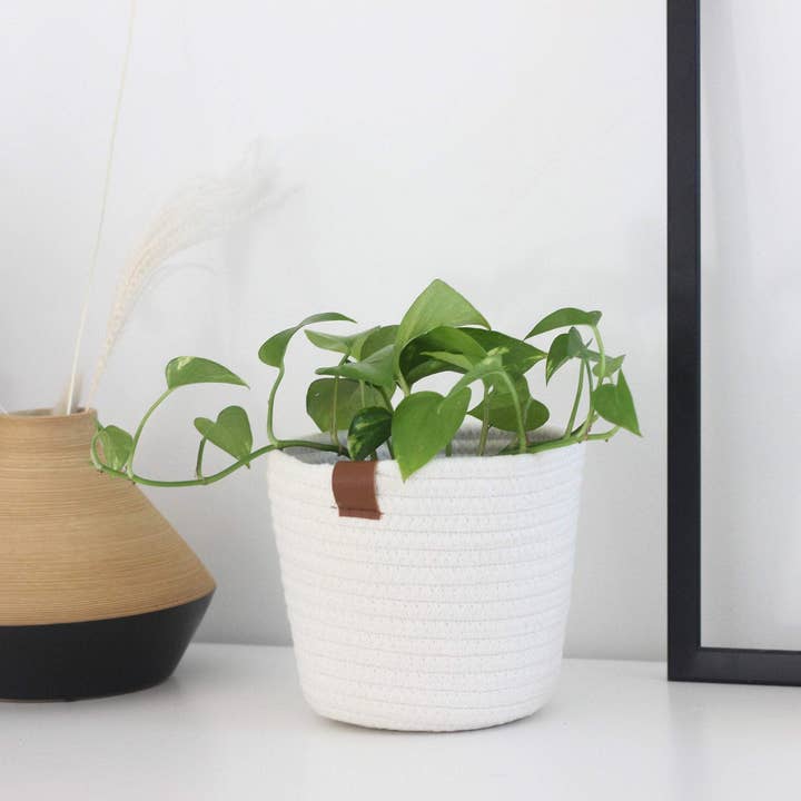 Sprout & About - Wholesale Hanging Planter - Off White Cotton Rope Plant Basket