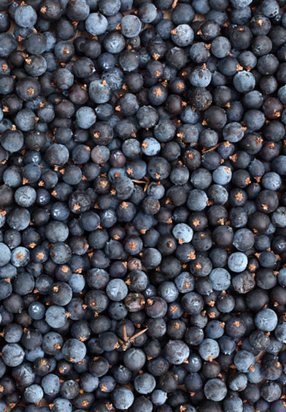 Drink Botanicals Ireland - Venta al por mayor Preparado/sirope para cóctel - Bayas de enebro - Drink Botanicals Ireland1