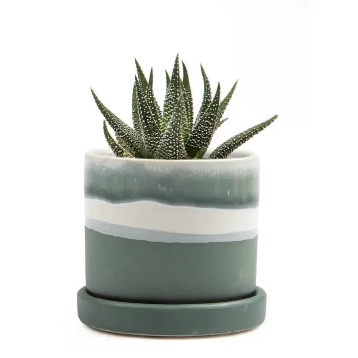 Chive UK - Wholesale Plant Pot - Minute Handmade Ceramic Planter Indoors Pot With Saucer30