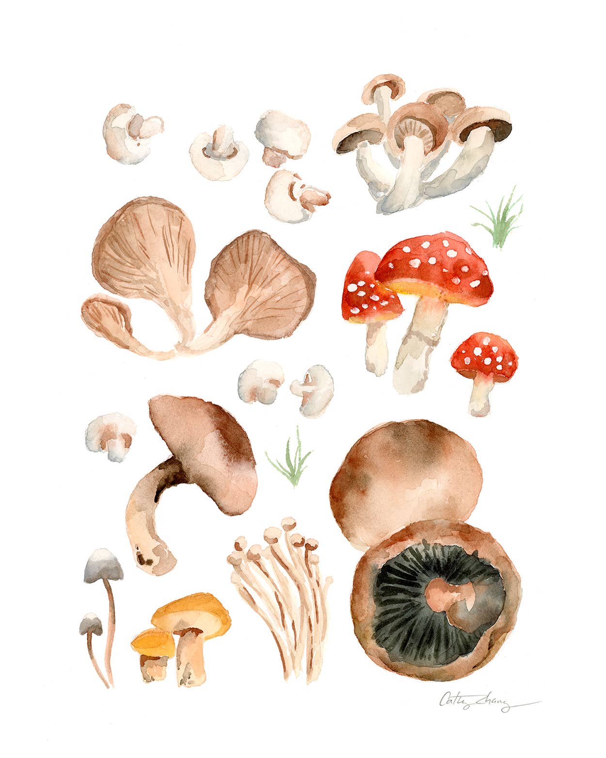 Easy Sunday Club – Impressão artística por atacado – Impressão artística de variedade de cogumelos1