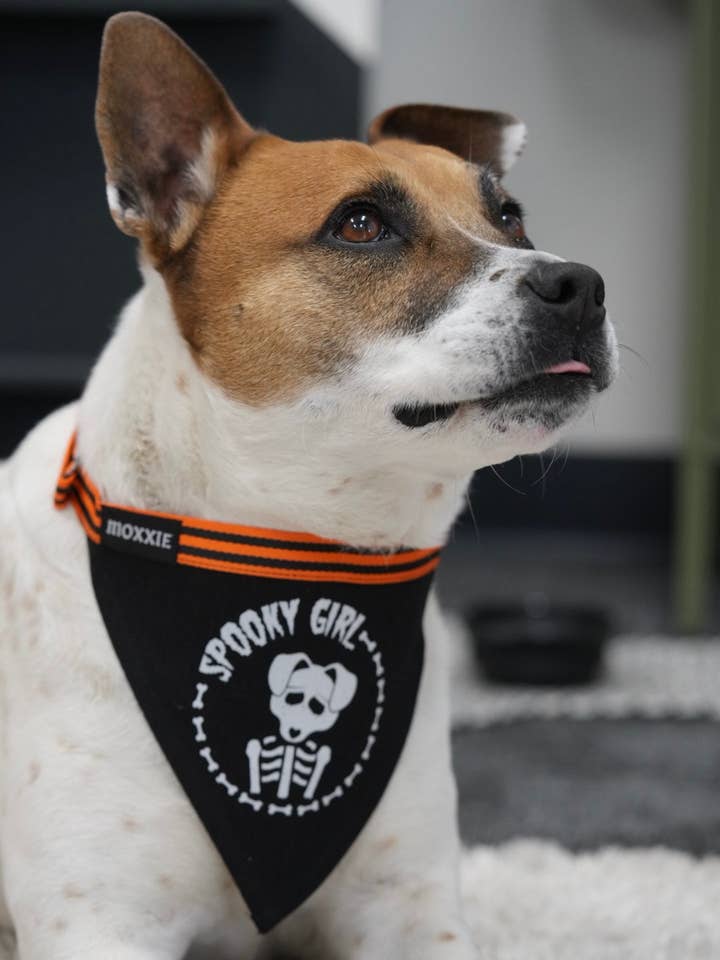 ¡Chica Espeluznante! Bandana Ajustable para Mascotas para venta al por mayor de Moxxie