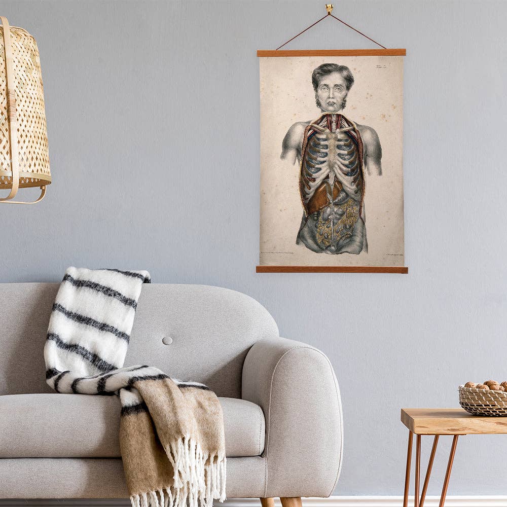 Vintage Banners - Vente Affiche d'art - Humain disséqué par William Fairland - Toile d'art mural3