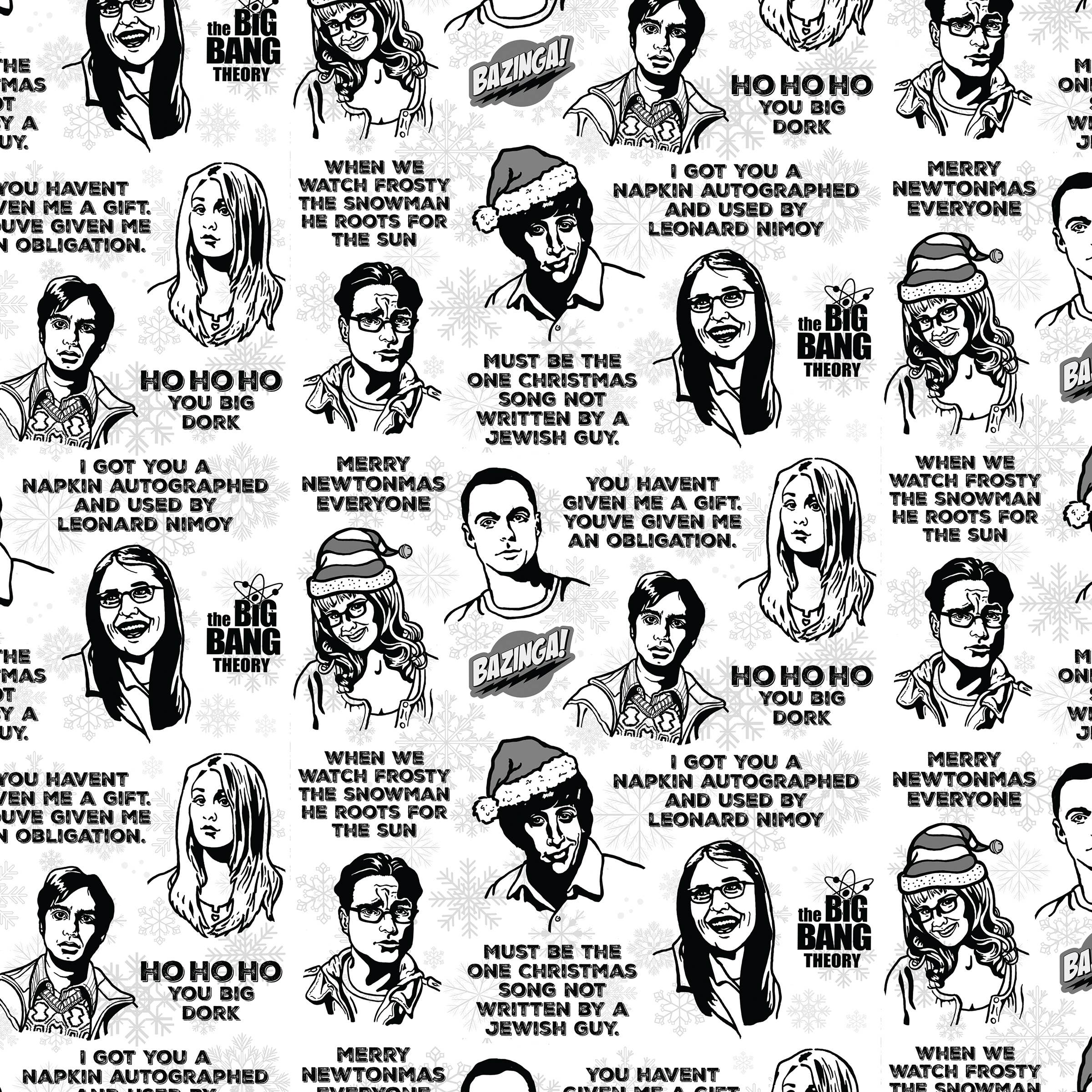 Design Corner – Großhandel Geschenkpapier in Bögen – Big Bang Theory Geschenkpapier für Weihnachten, 61 x 36 Zoll, Blatt2