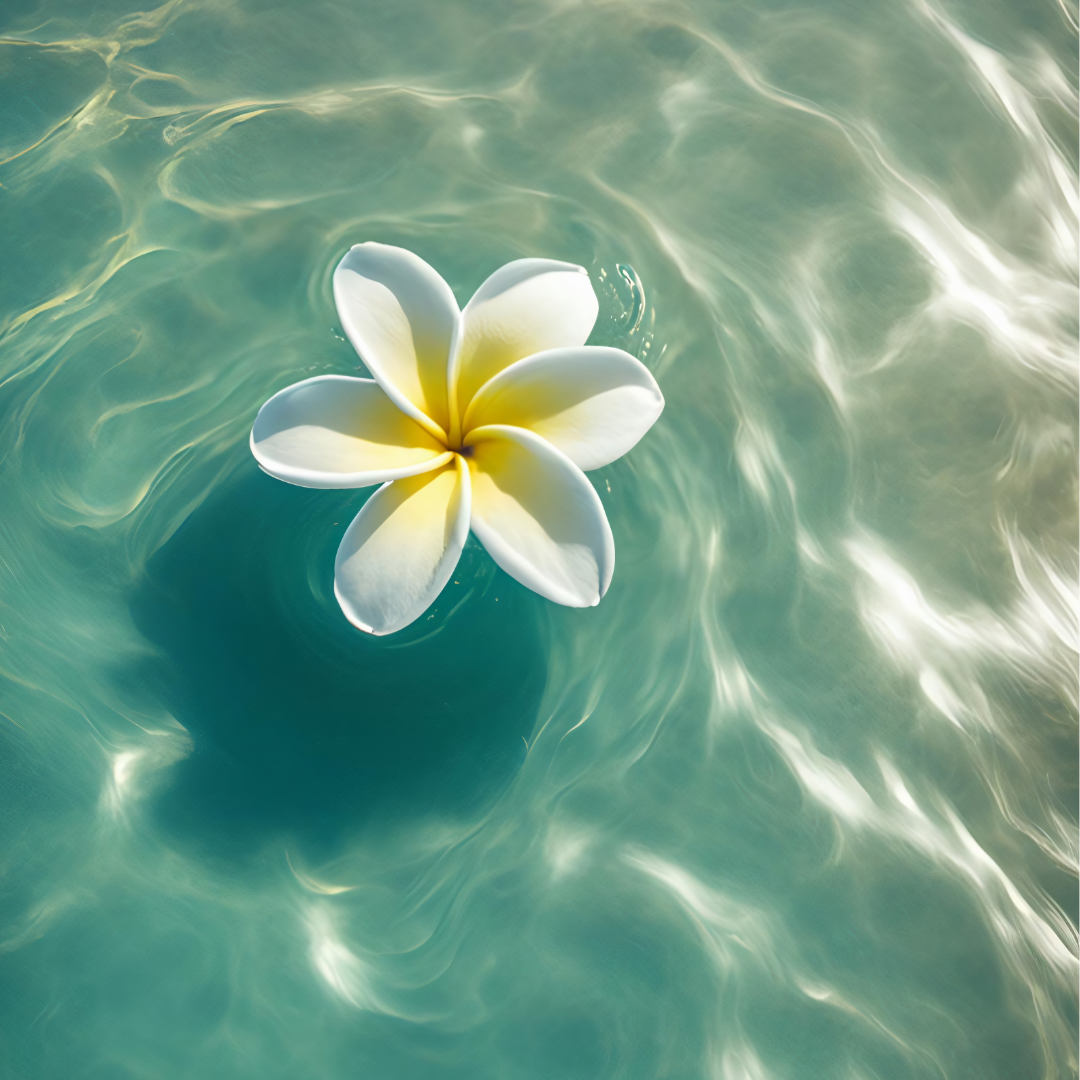 Masco Beauty - Vendita all'ingrosso Spray - Cani - ALOHA DOG – Protezione Solare Naturale SPF 30 per Cani8