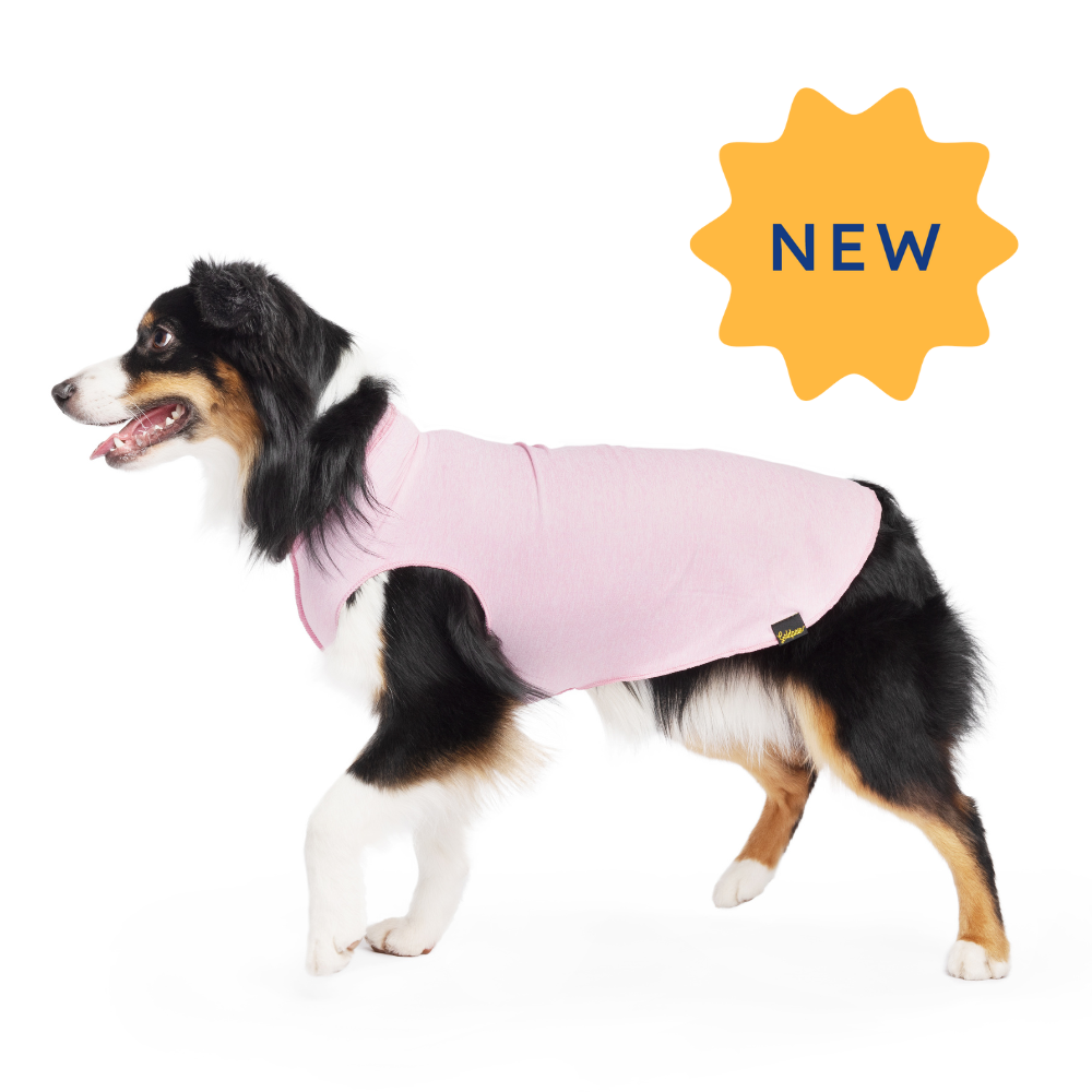 Wholesale Dog clothing accessories Faire UK