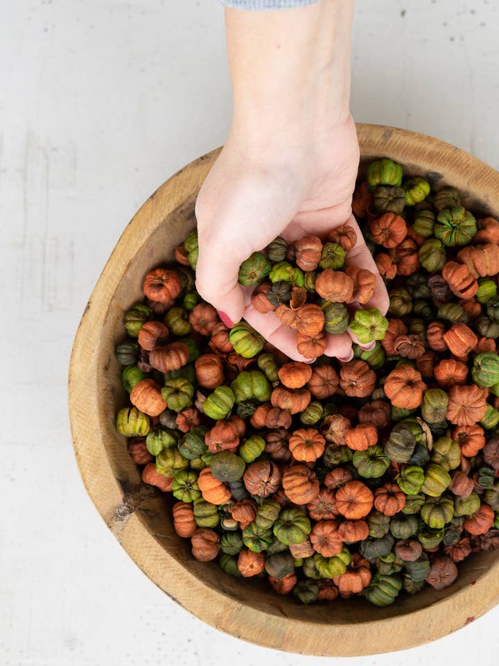 BAG OF ORANGE AND GREEN PUTKA PODS - 12 OZ. for wholesale by Kalalou