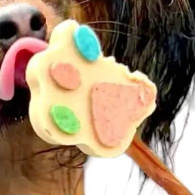 Manufaktur Sweet Crunchy Bit® Handmade DogFood 🐾 – Großhandel Leckerlis – Hund – SCB PawLolly 0