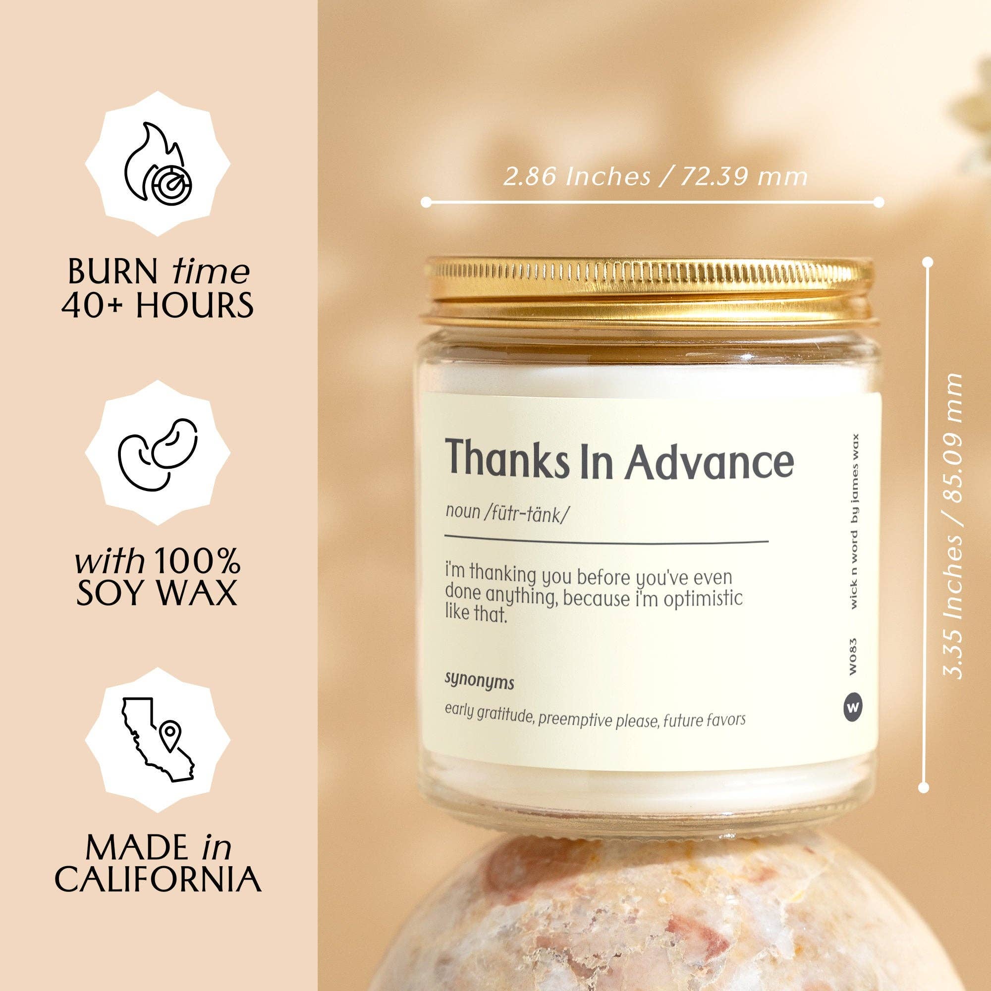 Wick n Word - Wholesale Jar/Filled Candle - Personalized Coworker Gift "Thanks In Advance" Definition Candle Gift For Appreciation Funny Surprise Gift Holiday Gift W0833