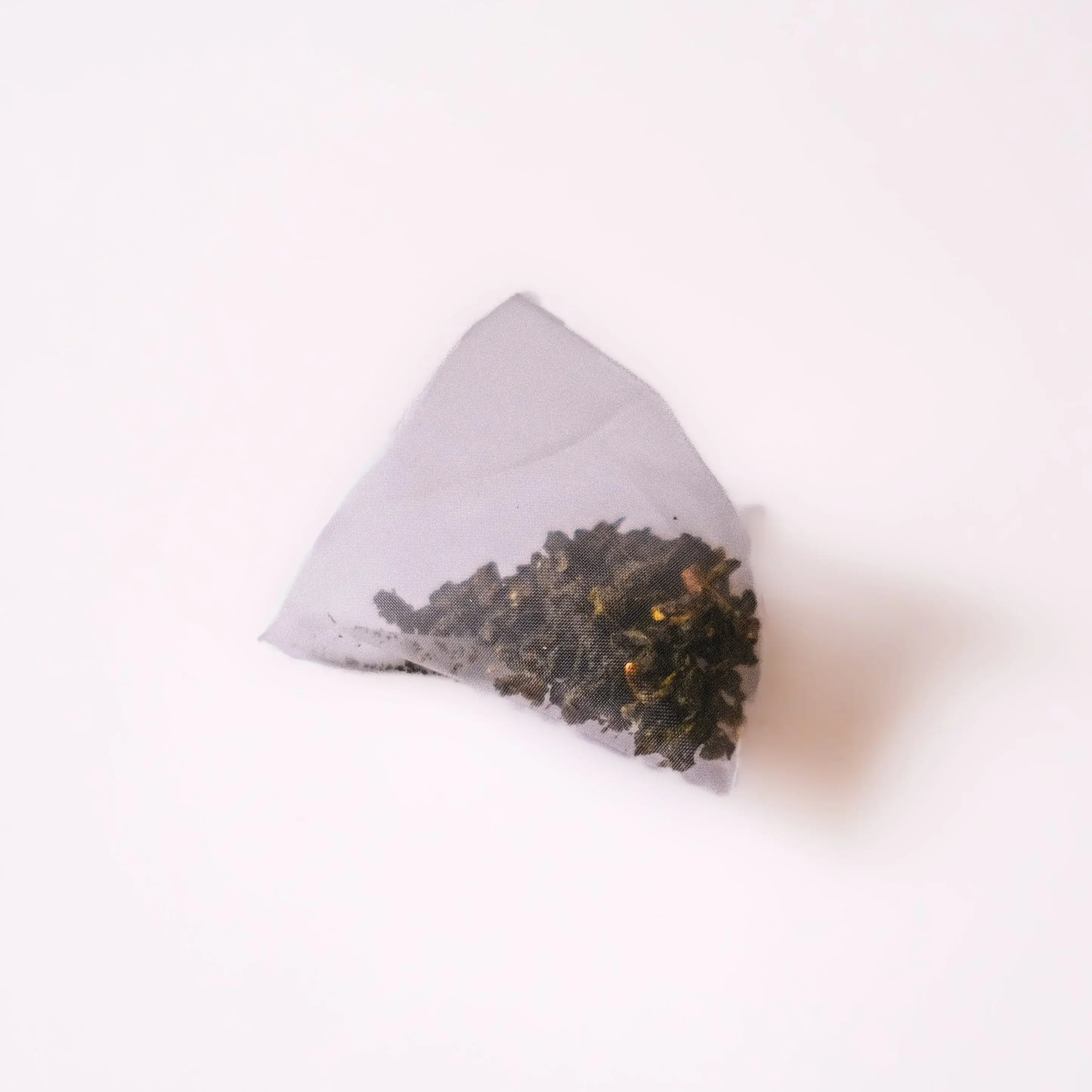 DAE - Wholesale Tea Bags - 1000M Oolong5